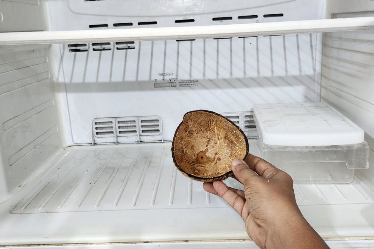 Useful fridge tip malayalam