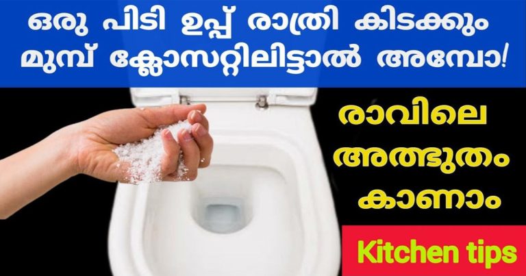 അമ്പോ.!! ഒരു പിടി ഉപ്പ് കിടക്കും മുമ്പ് രാത്രി ക്ലോസറ്റിലിട്ടാൽ..!! രാവിലെ കാണാം അത്ഭുതം | Useful Toilet Tips Using Salt malayalam