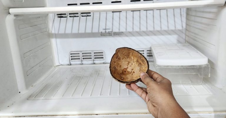 Ice Remove Tip in Fridge Freezer