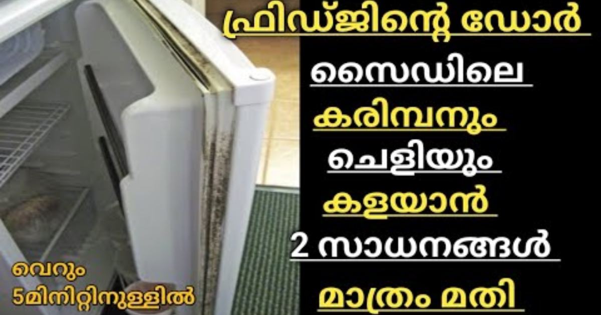 Easy way to clean Fridge Door Side