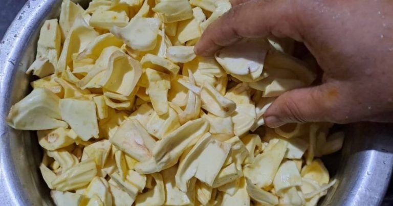 How To Store Raw Jackfruit Easy Tips