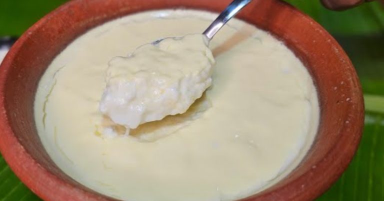 Instant Curd making in 30 minutes Thick Yogurt recipe