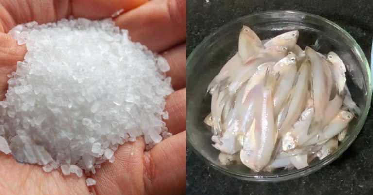 Easy way to clean small fish using rock salt