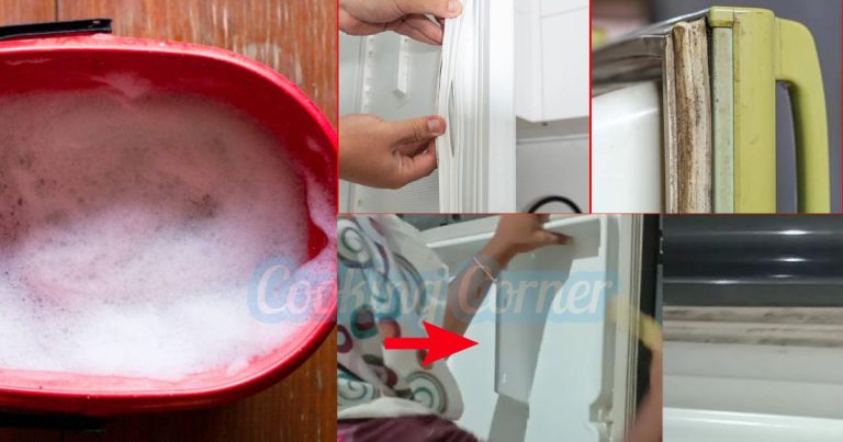 how to clean fridge door washer