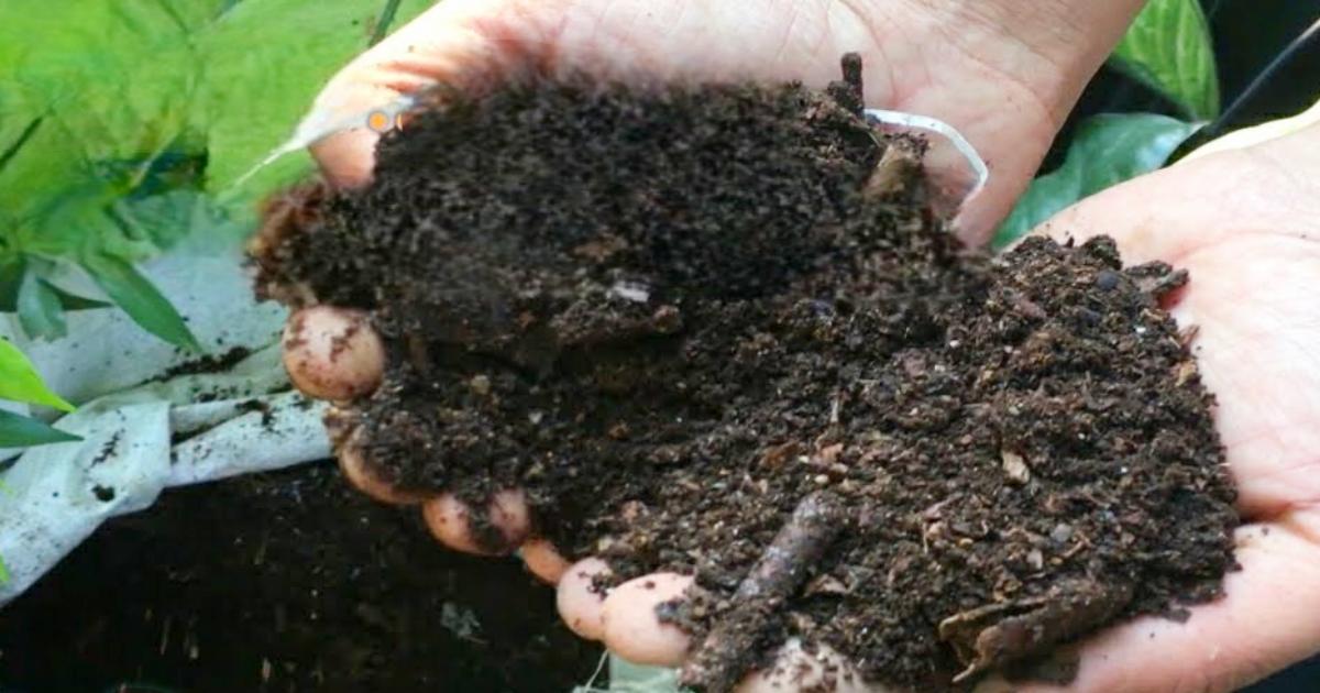 how to make compost easliy