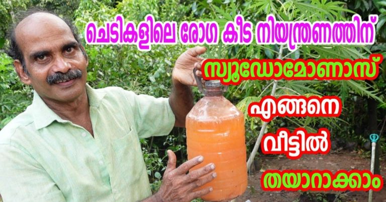 How to make Pseudomonas