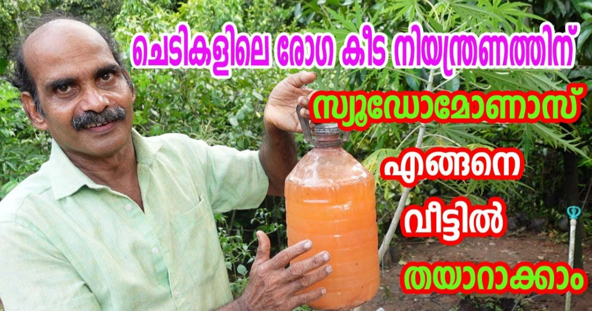 How to make Pseudomonas