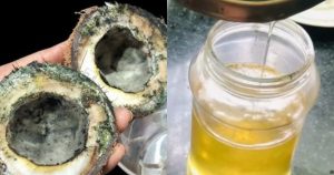 How to make coconut oil at home