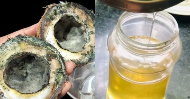 How to make coconut oil at home