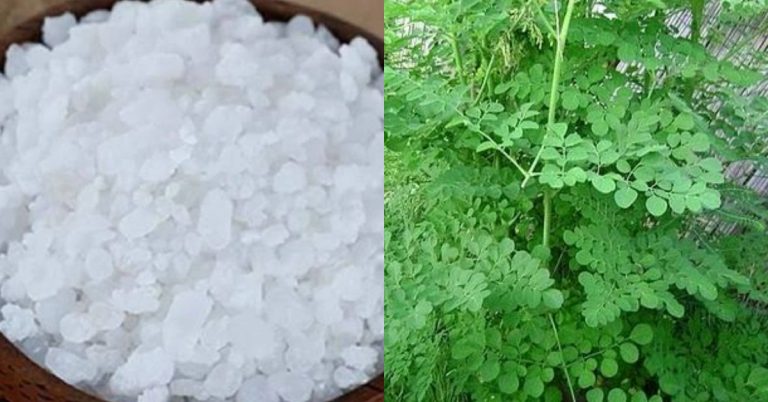 Home Remedy for Knee Pain