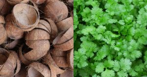 Malliyila Krishi Easy Tricks