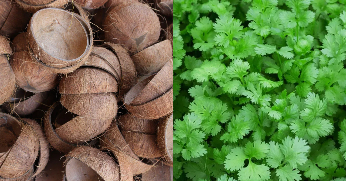 Malliyila Krishi Easy Tricks