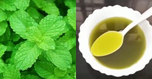 Mint leaf health benefits