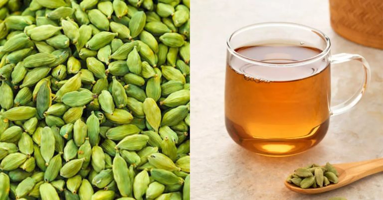 Verumvayattil Elakka Kazhichal