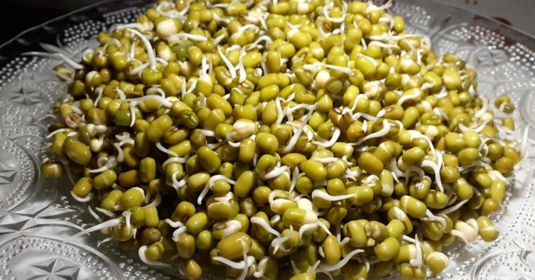 Cherupayar Mulappichathu Health Benefits