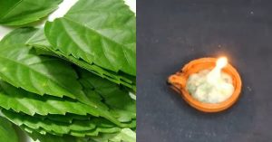 Health issues reducing at home