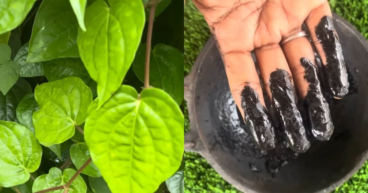 Natural Hair Dye Using Betel Leaves