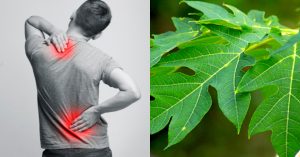 One remedy for many diseases