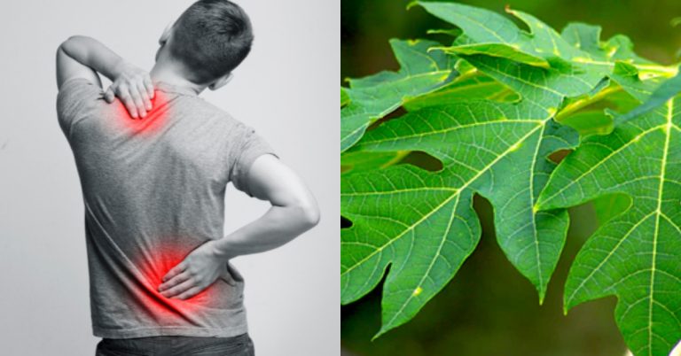 One remedy for many diseases