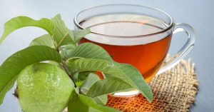 Tip To Reduce Fever Using Guava Leaf