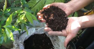 To Make Compost Easliy