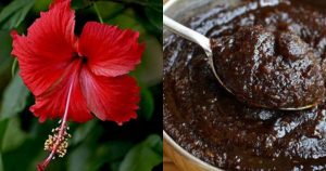 chembarathi-flower