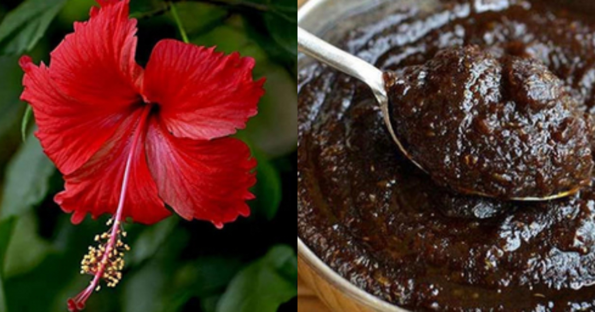 chembarathi-flower