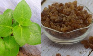 Benefits-of-Panikoorka-Panam-Kalkandam-2