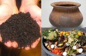 Converting-Kitchen-Waste-To-Compost