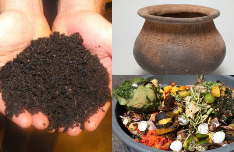 Converting-Kitchen-Waste-To-Compost