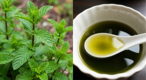 Health-Problems-Reduce-Remedy