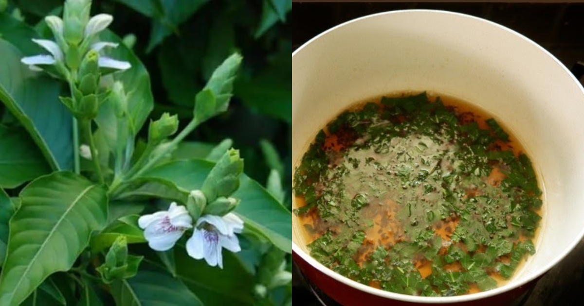 Home-Made-Cough-Remedy-Tip